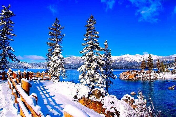 Full Day Private Lake Tahoe Tour from Oakland - What Travelers Say