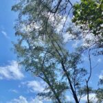 Full Day Private Road Tour to Hana - FAQ