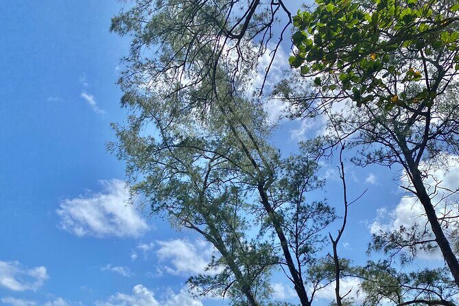 Full Day Private Road Tour to Hana - FAQ