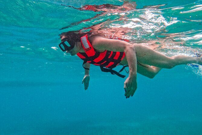 Full-Day Private Snorkel Tour in Tulum and Sian Kaan - Practical Tips for Booking and Enjoying the Tour