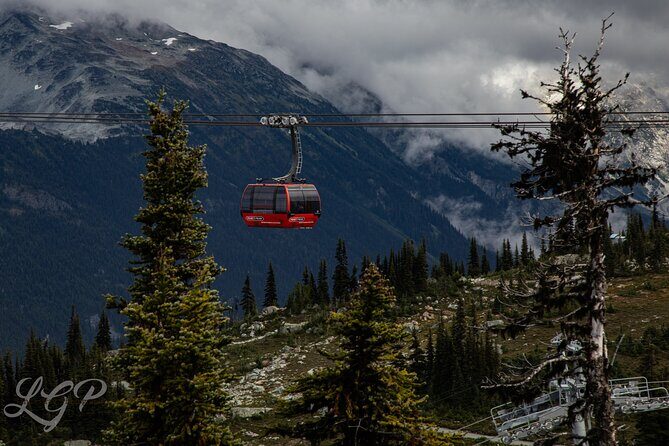 Full-Day Private Tour from Bellingham to Whistler B.C. Canada - Price and Value Analysis