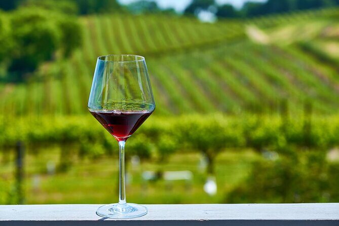 Full-Day Private Virginia Wine Tour Experience from Washington - Is It Worth the Price?