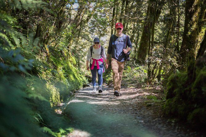 Full-Day Routeburn Track Key Summit Guided Walk from Te Anau - The Experience from the Guides Perspective