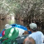 Full-Day San Blas Tour from Puerto Vallarta - Transportation and Comfort