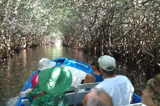 Full-Day San Blas Tour from Puerto Vallarta - Transportation and Comfort