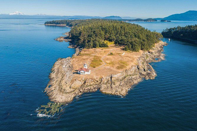 Full Day San Juan Island Kayaking Adventure - What Travelers Are Saying