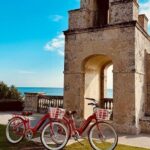 Full Day Self Guided Ebike Rental to Discover Palm Beach - The Experience: Pros and Cons
