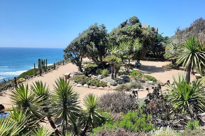 Full-Day Self Guided Electric Bike Tour of North San Diego Coast - What’s the Experience Really Like?