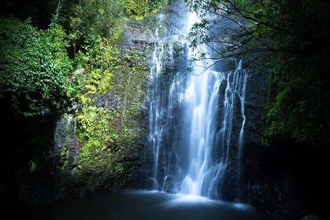 Full Day Small Group Tour of Maui Waterfall, Beach and Hana - What It Means for You