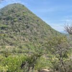 Full Day Teotitlan Del Valle Village Private Tour - How the Tour Compares to Others