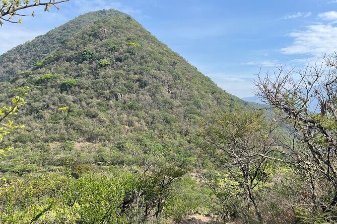 Full Day Teotitlan Del Valle Village Private Tour - How the Tour Compares to Others