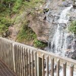 Full Day Tour from Atlanta to Amicalola Falls and Blue Ridge - Practical Details and Considerations