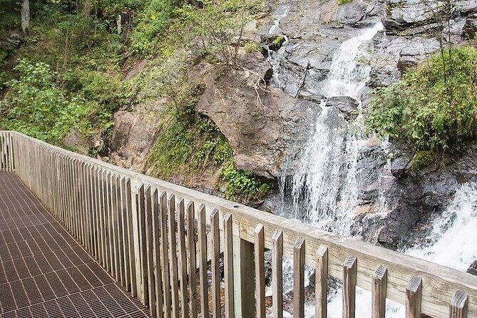 Full Day Tour from Atlanta to Amicalola Falls and Blue Ridge - Practical Details and Considerations