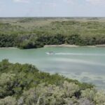 Full Day Tour from Tulum to Rio Lagartos - What’s Included and the Value