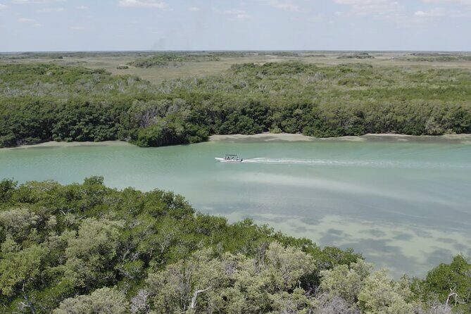 Full Day Tour from Tulum to Rio Lagartos - What’s Included and the Value