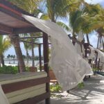 Full day tour in a Beach Club in the Riviera Maya. Transport included - How This Tour Stacks Up