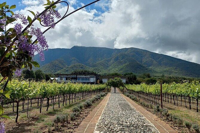 Full Day Tour in Finca Estramancia Vineyard with stop in Chapala - What’s Included and What’s Not