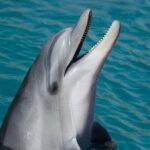 Full-Day Tour in Key West from Miami with Add-on extras - What Travelers Are Saying