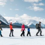 Full Day Tour in Lake Louise and Ice field Parkway - Practical Details and What to Expect