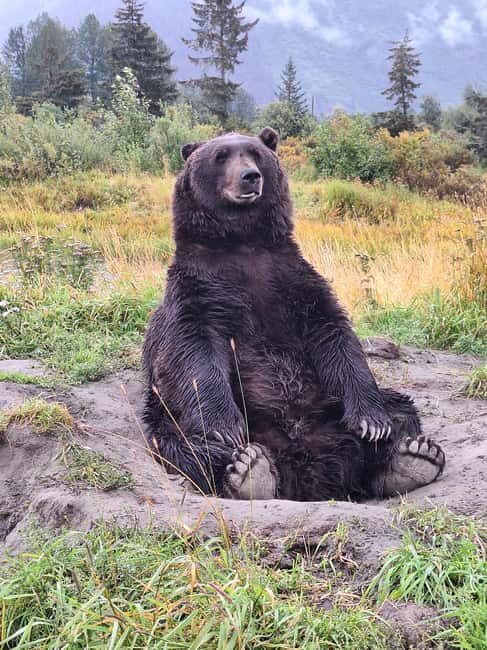 Full-day Tour in Turnagain - The Value of This Tour