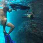 Full-Day Tour Nature Experience at Isla Espiritu Santo! Sea Lions - Isla Espiritu Santo: A UNESCO World Heritage Site