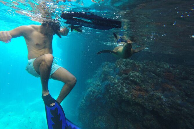 Full-Day Tour Nature Experience at Isla Espiritu Santo! Sea Lions - Isla Espiritu Santo: A UNESCO World Heritage Site