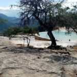 Full Day Tour of Oaxacan Wonders - How the Experience Comes Together