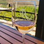 Full Day Tour on the Wine Route, Valle de Guadalupe - What’s Included and What’s Not