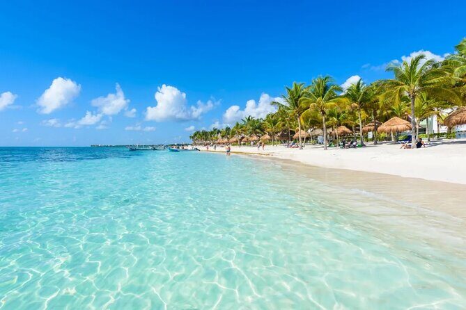 Full Day Tour Snorkeling with Turtles in Akumal, Tulúm and Playa del Carmen - Whats Included and Whats Not