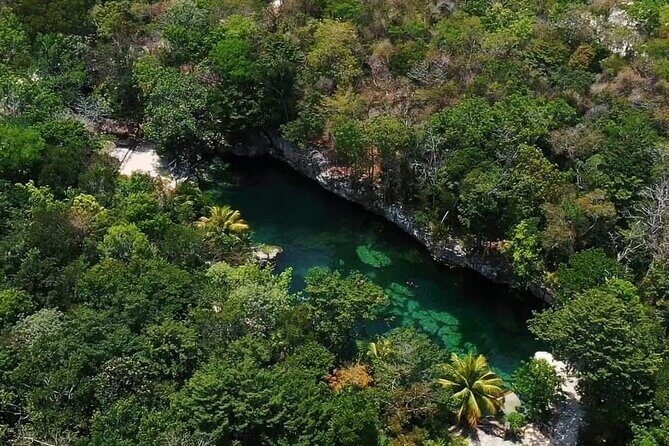 Full Day Tour to 5 Magical Cenotes in the Riviera Maya - Real Traveler Insights