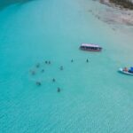 Full Day Tour to 7 Colors Bacalar Lagoon with Lunch - The Experience: What Travelers Might Expect