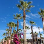 Full Day Tour to Balandra Beach, Todos Santos and La Paz - The Experience in Detail