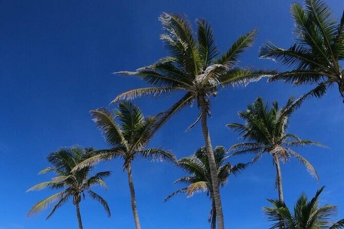 Full Day Tour to Isla Contoy and Isla Mujeres from Cancun - Who Is This Tour Best For?