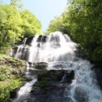 Full Day Waterfalls Tour in North Georgia with Scenic Hikes - What We Think About the Value