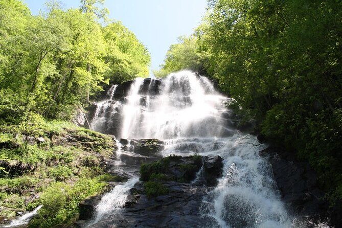 Full Day Waterfalls Tour in North Georgia with Scenic Hikes - What We Think About the Value