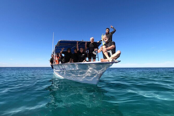 Full-Day Whale Shark Snorkeling Adventure with Beach Lunch - Whats Included and Whats Not