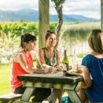 Full-Day Wine Gourmet and Scenic Delight Tour of Marlborough from Picton - A Detailed Look at the Tour Experience