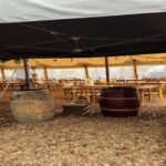 Full-Day Wine Tour to Napa & Sonoma 3 Tastings Included - What Travelers Say