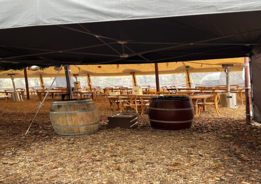 Full-Day Wine Tour to Napa & Sonoma 3 Tastings Included - What Travelers Say