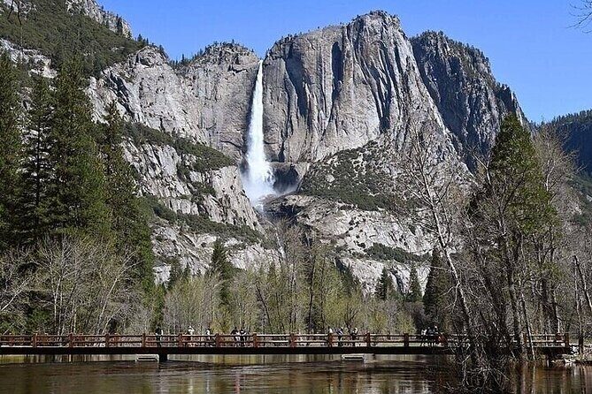 Full Day Yosemite National Park Tour from Oakland - Free Time and Personal Exploration