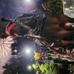 Full loop Private Horse Carriage Ride in Central Park 45 Minutes - How the Tour Works in Practice