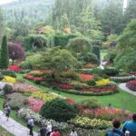 Fully narrated tour of Butchart Gardens and Saanich Peninsula - What the Reviews Say: A Realistic Look