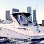 Fun & Affordable! Day or Night Celebration (Restroom/Kitchen) - Authentic Traveler Feedback