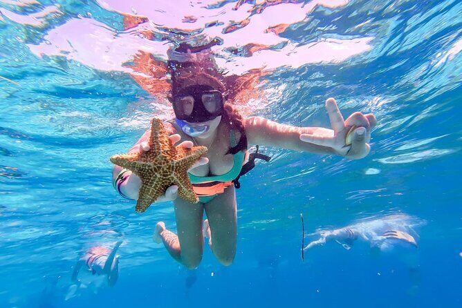 Fun Catamaran Excursion to Isla Mujeres with Unlimited drinks! - Who Should Book This Tour?