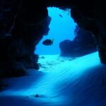 Fun dives Cozumel south marine park - What is Included and What isn’t