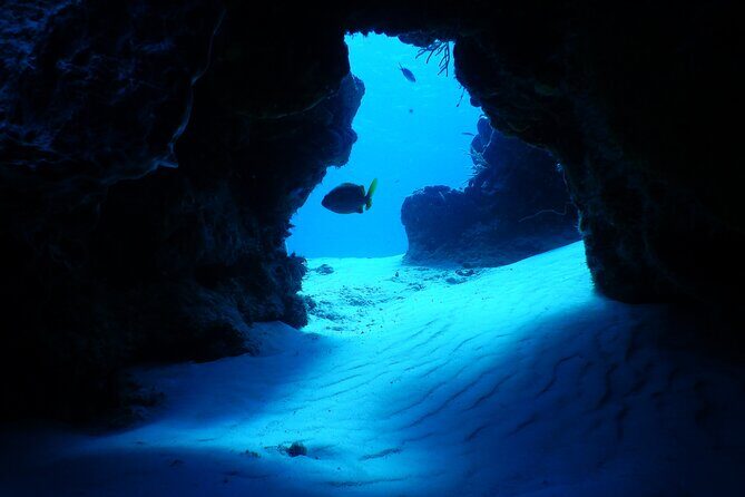 Fun dives Cozumel south marine park - What is Included and What isn’t