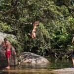 Fun, Falls and Forests Day Trip from Cairns - The Value of This Tour