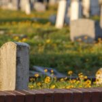 Galveston: Old City Cemetery Walking Tour with Local Guide - The Value of the Experience