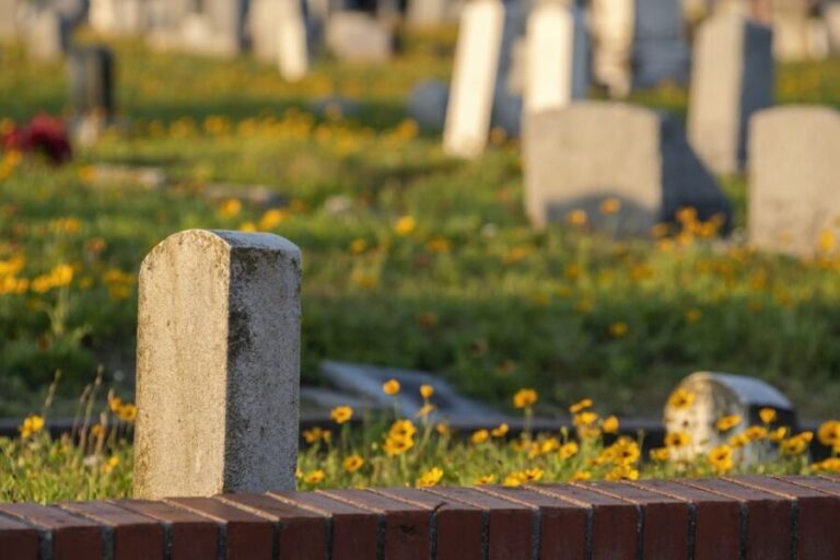 Galveston: Old City Cemetery Walking Tour with Local Guide - The Value of the Experience