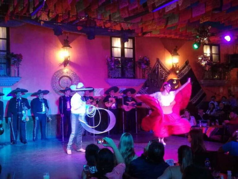 Garibaldi by Night with Dinner at Bellini - Who Should Consider This Tour?